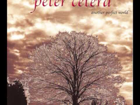 Peter Cetera - Feels Like Rain
