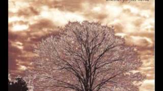 Peter Cetera - Feels Like Rain