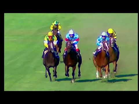 Napoli Galoppo 29/07/2022 - 3ª corsa