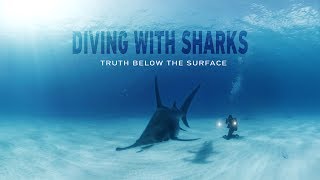 GoPro VR: Diving with Sharks - Truth Below the Surface