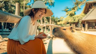 Capybaras & Serenity 🇯🇵 4K Walking Tour – Okinawa Japan