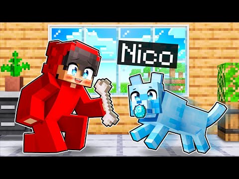 Nico Is Cash’s Dog In Minecraft!