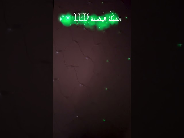شبكة LED باللون الأخضر مع الأبيض، كهرباء، 8 حركات،...