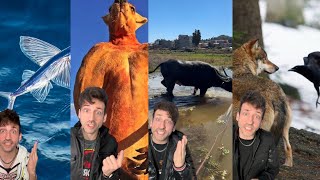 Odd Danny Top 20 Compilation!