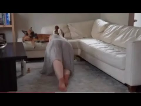 4K] Satisfying Home Cleaning with Kriss Kiss | Relaxing Clean With Me Routine