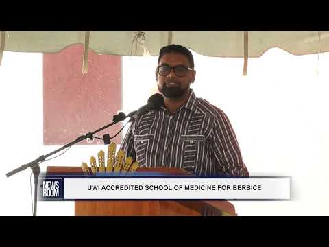 Description or Alt Text