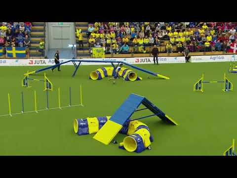 AWC 2018 Large Individual Agility