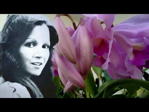 YOLIMA  - ME PENSARAS