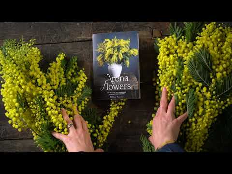 Yellow Acadia - Subscription Flowers by Arena Flowers