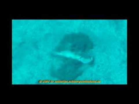 Gran Canaria - Arinaga El Cabron, Gran Canaria Arinaga,Spanien