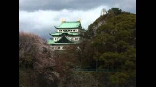 preview picture of video 'טיול מאורגן ליפן אפריל 2014 - רז שרבליס'