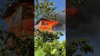 Download lagu Less than 5 minutes the tree house caught fire😭 #922 #KOOKIKO mp3