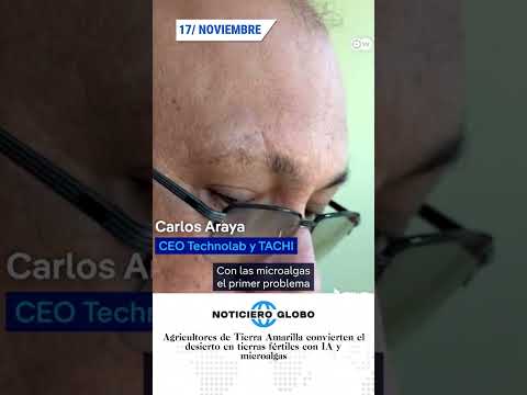 Agricultores de Tierra Amarilla convierten el desierto en tierras fértiles con IA y microalgas