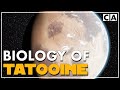 The Biology Of Tatooine Speculative Biology