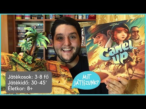 Camel Up Játékbemutató - Mit Játsszunk?