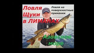 Приманки для ловли щуки в лиманах