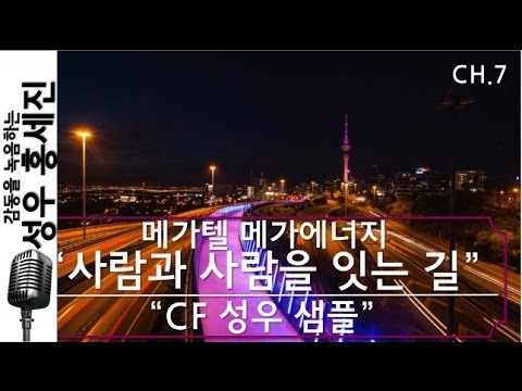 비디오 8