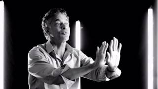 Brian Stokes Mitchell - Art Set Free