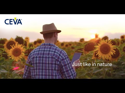 About CEVA logo