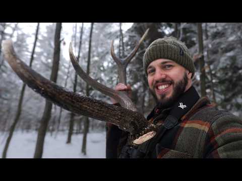 Świeże Zrzuty 2026 - Zrzucił przed fotopułapką!