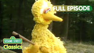 Big Bird Plays Baseball at Summer Camp | Sesame Street Classics Full Episode