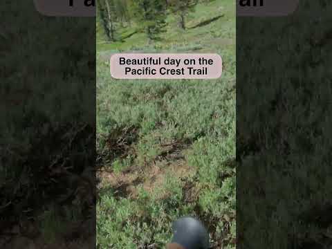 Beautiful Day On The Pacific Crest Trail