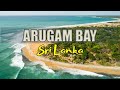 Arugam Bay Sri Lanka A Surfer S Paradise Tropical Escape ‍ ️