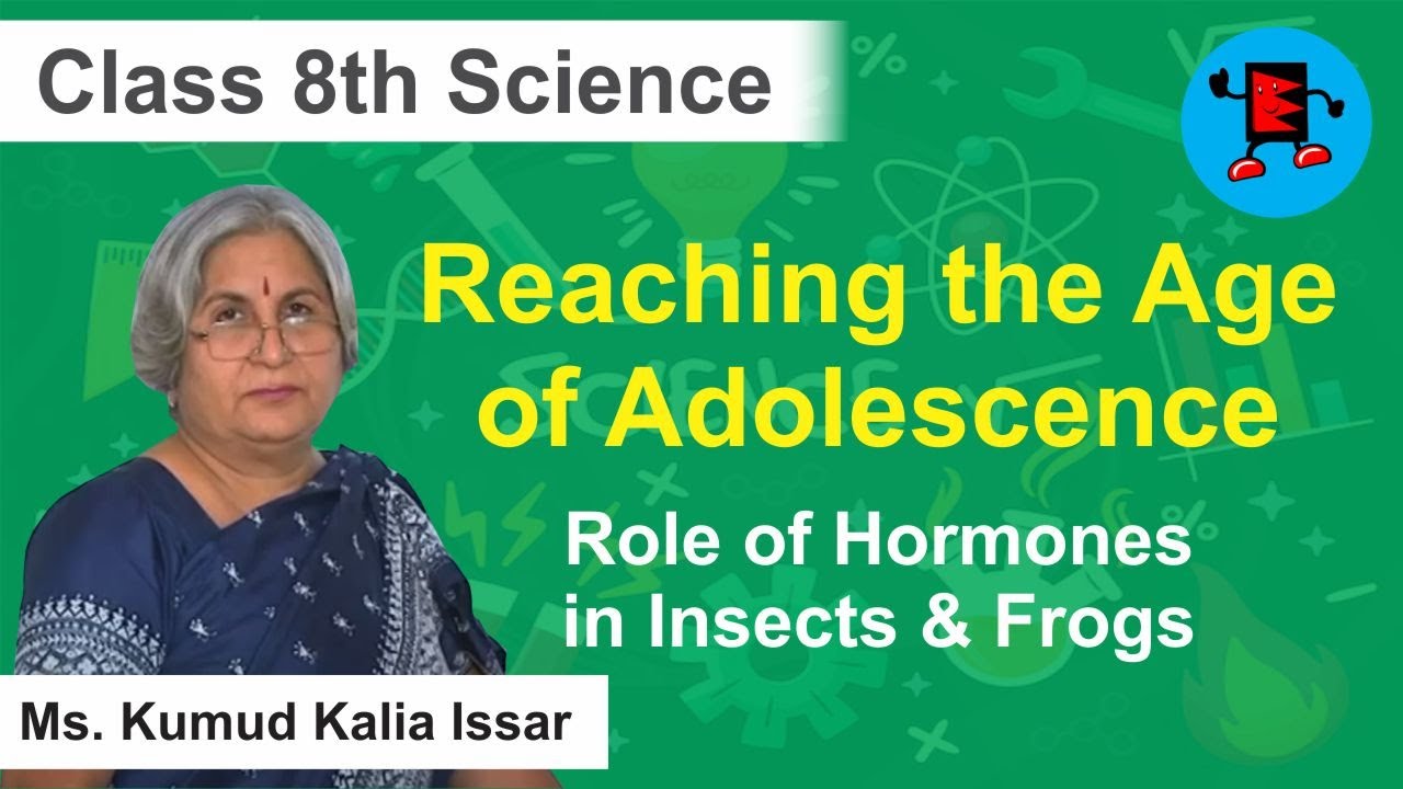CBSE Class 8 Science Reaching the Age of Adolescence Role of Hormones in insects & Frogs