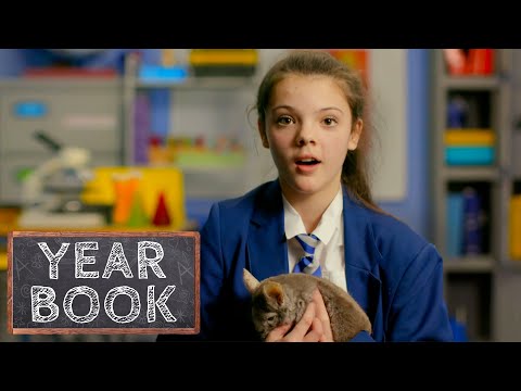 Schoolgirl Given a Chinchilla to Help with Her Anxiety | Educating | Our Stories