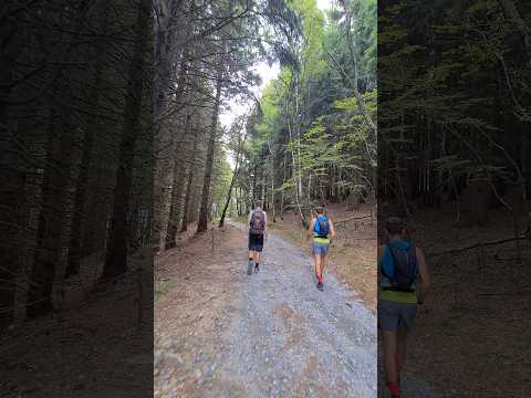monte San Primo dalla Colma di Sormano #montagna #bosco #laghi #escursionismo #trekking #hiking