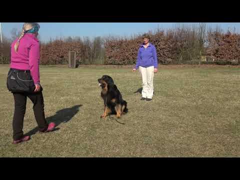 Saisonauftakt 2019 Denzel 3,5 Jahre IGP 3