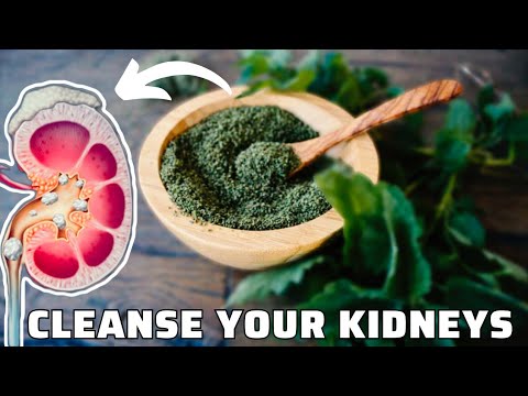 Ovo je najjednostavniji način da očistite svoje BUBREGE!
