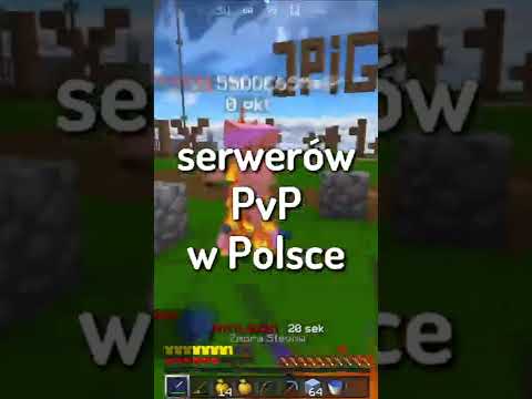 Top 5 pvp servers in Poland