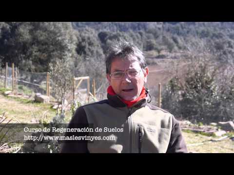 Fotograma del vídeo: Método de Línea Clave - Keyline para la regeneración de suelos