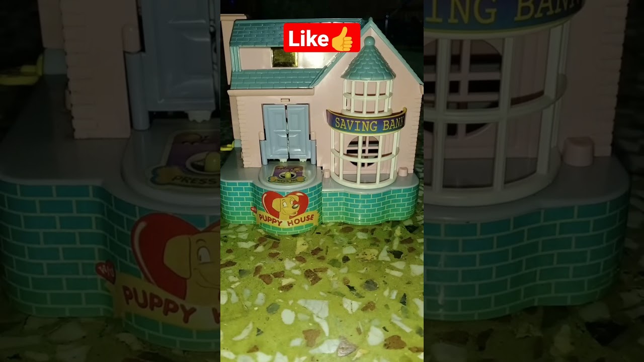 Dog house || #shorts