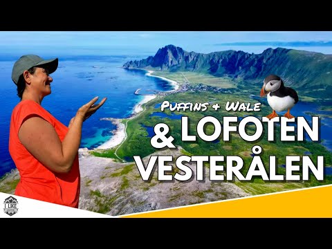 Roadtrip von den Lofoten zu den Puffins auf den Vesterålen #norwegen