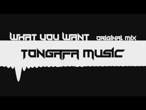 What You Want ft. Sanna Hartfield (Original Mix) | Track FREE DOWNLOAD