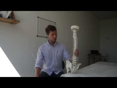 Low back pain - Modic Changes