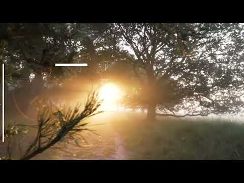 MI Kamoja Ba`elim. Kehila Emuna Casa de Israel.