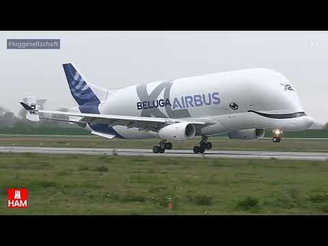 Beluga XL Landung Hamburg Finkenwerder XFW