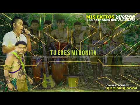 Tu Eres Mi Bonita - Chaniel Donisabe // Los Patrones del Vallenato (Video Lyric) 2023