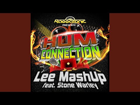 Hum Connection (Edit Mix)