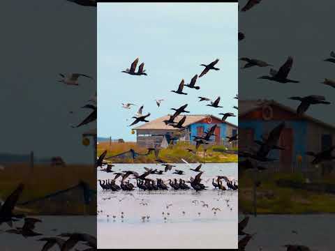 A fotografia em minha vida!