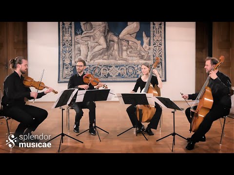 Orlando di Lasso - Matona, mia cara | Ensemble SPLENDOR MUSICAE