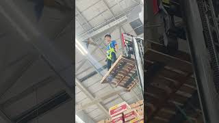 Download lagu Burung macaw lepas di supermarket 🦜 mp3 Download lagu Burung macaw lepas di supermarket 🦜 mp3