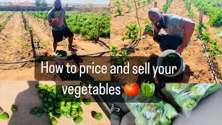 Life of a South African Farmer | Selling Fresh Vegetables Successfully on First Harvest! Money 💰 in