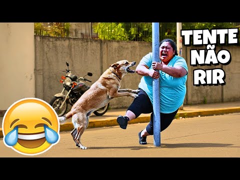 TENTE NÃO RIR: VÍDEOS ENGRAÇADOS 2025 E MEMES - #77