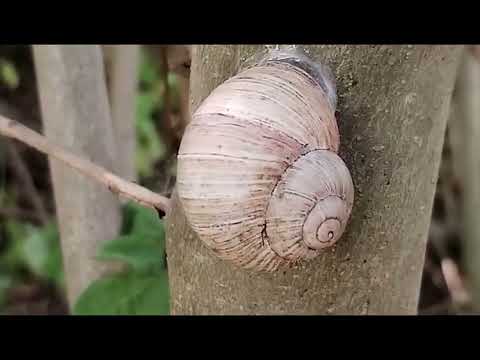 Folkolorit - Folkolorit - Live Ptení 26.10.2024 - Očekávání