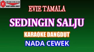 Download lagu KARAOKE DANGDUT SEDINGIN SALJU - EVIE TAMALA (COVER) NADA CEWEK mp3 Download lagu KARAOKE DANGDUT SEDINGIN SALJU - EVIE TAMALA (COVER) NADA CEWEK mp3