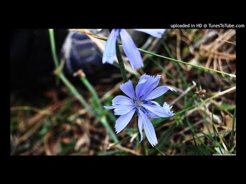 Lucian Cojocaru de la Severin - A cazut o stea LIVE